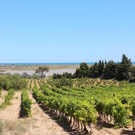 Holiday home Les Colombes By Interhome Saint-Pierre-la-Mer (Aude)